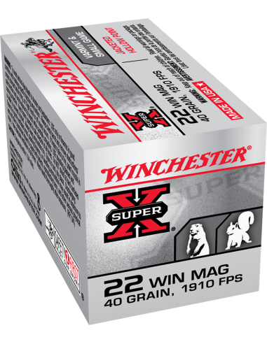 017384 : MUNITIONS WINCHESTER 22 WIN...