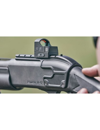 Point Rouge - Bushnell RXS 100 1x25