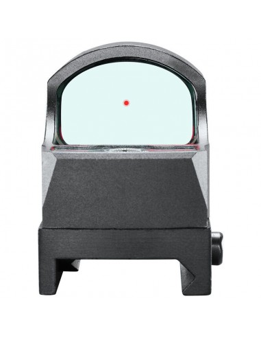 Point Rouge - Bushnell RXS 100 1x25