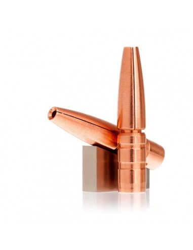 BALLES LEHIGH DEFENSE 30 (.308) 198GR...