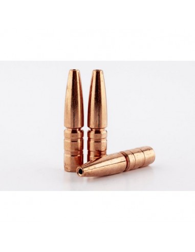 BALLES LEHIGH DEFENSE 30(.308) 210GR...