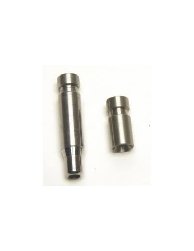 EXPANDEUR DILLON  SW PISTOL   13171 -...