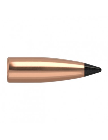 BALLE NOSLER 224 53 GR VARMAGEDDON...