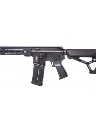 CARABINE ADC M5 PLUS C300 14.5" CAL....