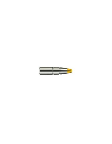 MUNITION RWS 300 WIN MAG EVO