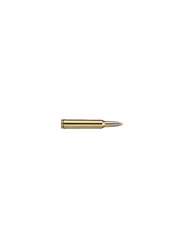 MUNITION RWS 300 WIN MAG EVO