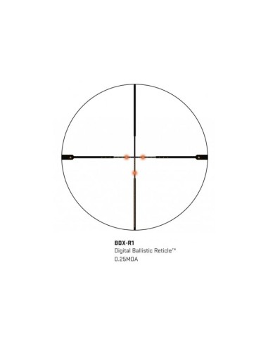 LUNETTE SIG SIERRA3BDX,...