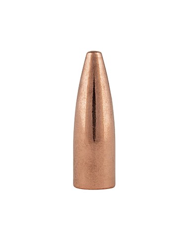 BALLES SPEER 22 55GR  /100 - 1045