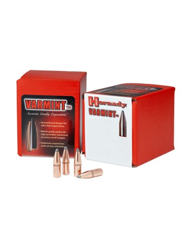 BALLE HORNADY 25 87 GR