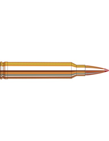 MUNITION HORNADY 300 WIN MAG...