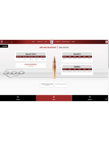 MUNITIONS FIOCCHI 300 BLACKOUT 147GR...