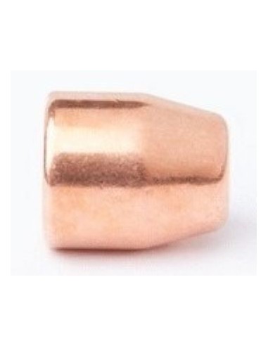 BALLES CAMPRO 45 200GR FP BOITE DE 500