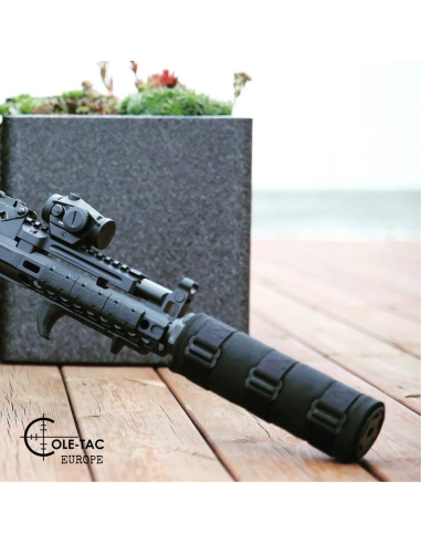 COLETAC COVER MODERATEUR HTP 230X45...