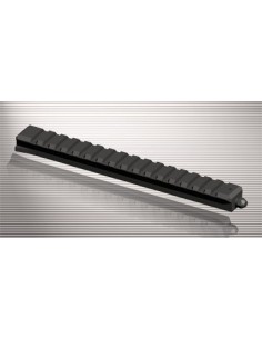 Rail picatinny B&T pour SIG 550/551/552