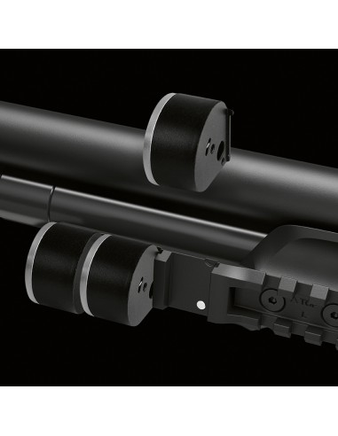 CARABINE A AIR STOEGER XM1...