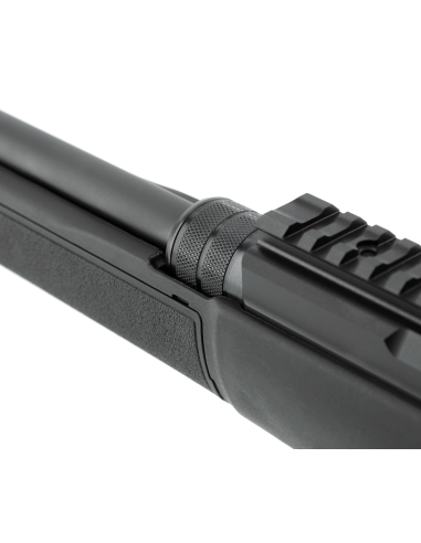 CARABINE HAMMERLI ARMS FORCE B1 CAL...