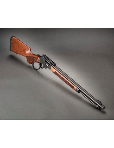 CARABINE SMITH & WESSON 1854 SERIES...