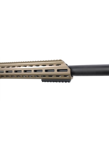 CARABINE BARRETT MRAD ELR CAL. 416...