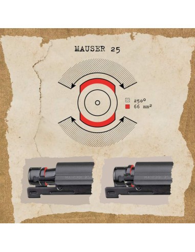 CARABINE LINEAIRE MAUSER M25 CAL...