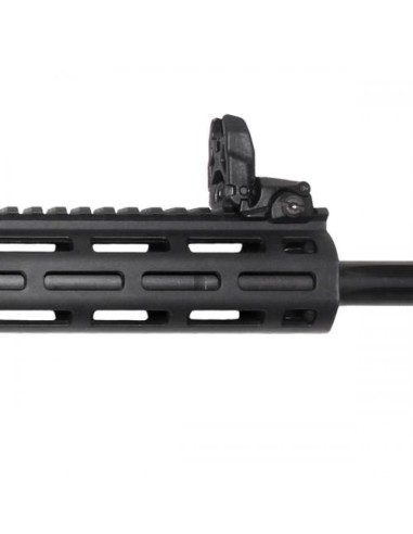 CARABINE SMITH WESSON M&P 15-22 SPORT...