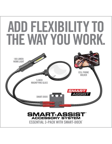 SMART-ASSIST ACCESSORY SYSTEM REAL...