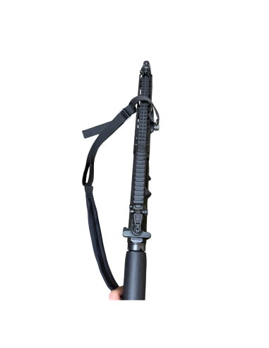 OCCASION : CARABINE WILSON AR9G 9 X...