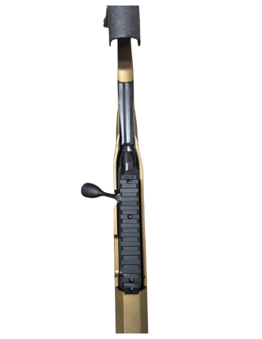 OCCASION : CARABINE RUGER PRECISION...