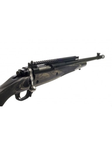 Rail picatinny Ruger Scout Rifle