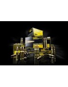 Munitions 222 Rem Mag Sako FMJ 50 gr