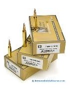Munition SOLOGNE .307 Win Sierra FN 170gr