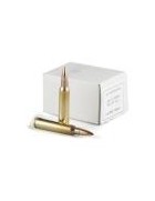 Munition SM - 5.56X45 M193 FMJ 55GR