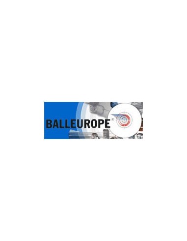 BALLEUROPE - Balle Plomb 44-40 210gr FP