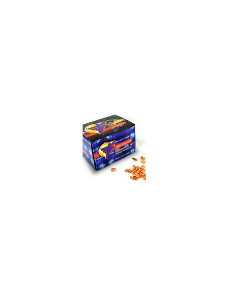 Balle Frontier cuivrée 45 200gr  FP