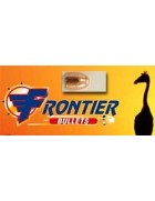 Balle Frontier cuivrée 45 230gr RN