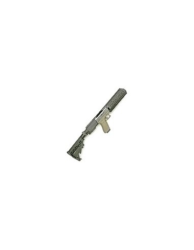 Crosse TRIARII carabine Hera Arms pour Glock SIG