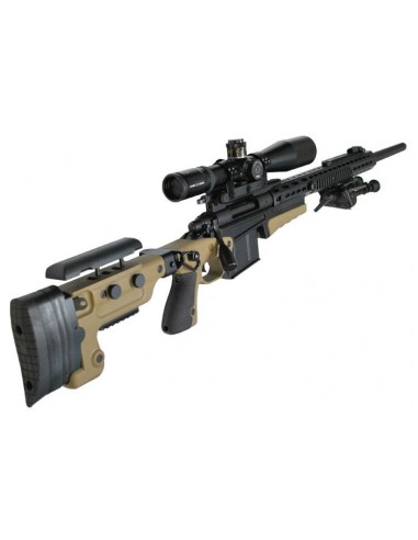 Crosse Accuracy International AICS AX Remington 700 boitier court