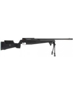 Carabine Sig Sauer SSG Target 308Win 2