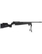 Carabine Sig Sauer SSG Target 308Win