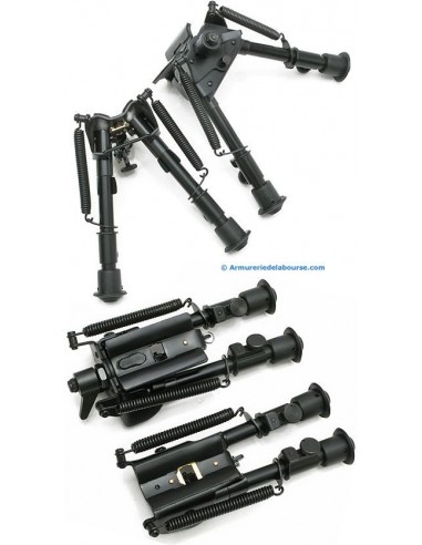 Bipied repliable Champion